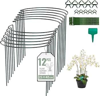 Amazon | SZMDLX 植物支柱 12個セット 25cmx40cm 半円形 花